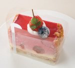 ※使用イメージ　CF-92