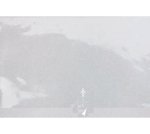 画像1: Ｒ－５５　ロールケーキ１本用取手付＠1枚10.75円 (1)