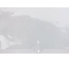 画像1: Ｒ－５５　ロールケーキ１本用取手付＠1枚10.75円 (1)