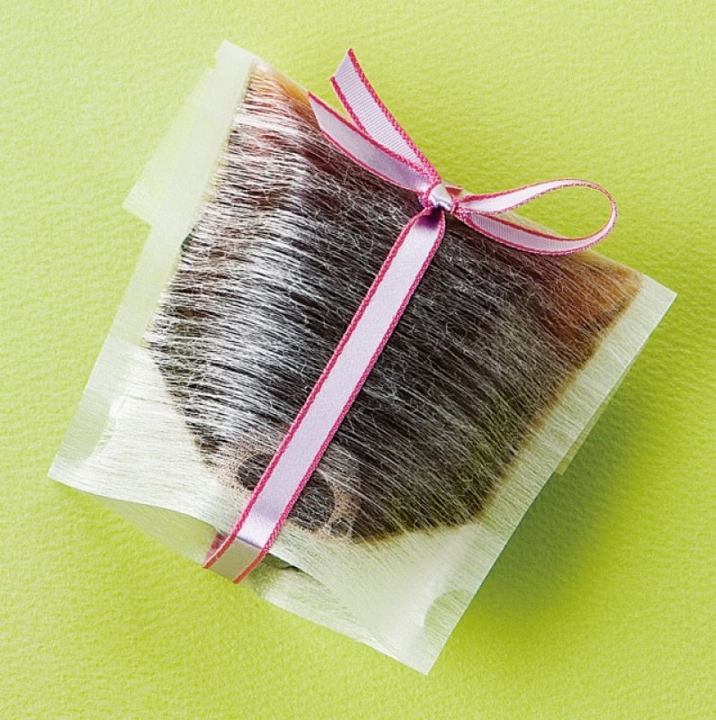 ※使用イメージ