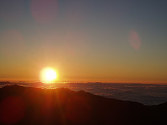 今年こそは・・・